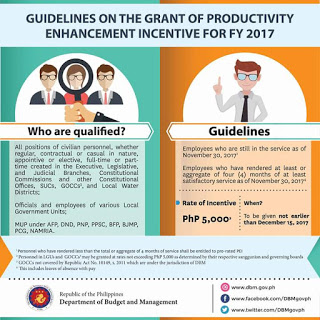 PEI guidelines